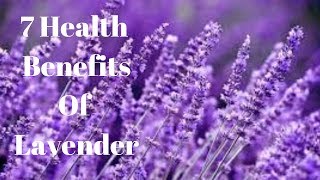 7 Health Benefits Of Lavender [upl. by Chiquita]