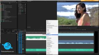 Smooth Audio Transitions  Audio in Premiere [upl. by Bouley]