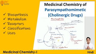 Parasympathomimetics Medicinal Chemistry Biosynthesis Metabolism Receptors Classification [upl. by Yragerg]