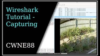 Wireshark Tutorial  Capturing [upl. by Akimaj]