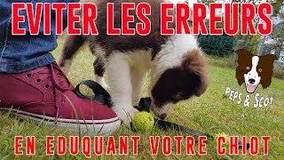 Eviter les ERREURS déducation avec son Chiot Vol1 [upl. by Ssor]