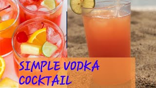 Simple Vodka Punch  Adult cocktails [upl. by Rosamund268]