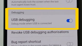 Samsung Galaxy A20 A20s Enable USB Debugging Mode and Developer Options [upl. by Ynar]