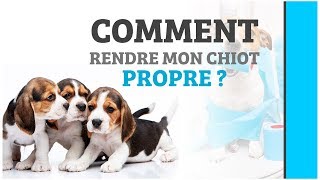 COMMENT RENDRE MON CHIOT PROPRE [upl. by Noirda]