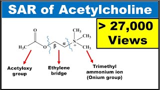 SAR of Acetylcholine SAR of Parasympathomimetics Explained with structures [upl. by Nolan620]