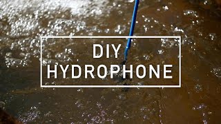 DIY Hydrophone [upl. by Demetri816]