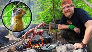 Catch And Cook Gopher Day 4 Of 30 Day Survival Challenge Canadian Rockies [upl. by Nasia]