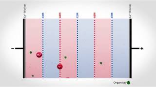 Electrodialysis Reversal to Treat Organic Wastewater  Flex EDR Organix [upl. by Gish261]