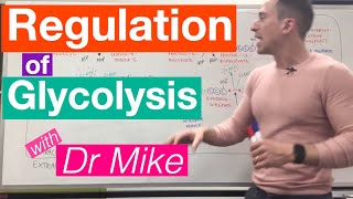 Glycolysis  Metabolism [upl. by Assina]