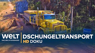 Schwertransport im brasilianischen Dschungel  HD Doku [upl. by Yatnahc]