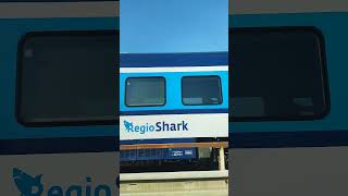 Nabouraný RegioShark [upl. by Storz]