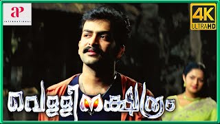 Vellinakshatram 4K Movie Scenes  Prithviraj Elopes With Karthika and Ties The Knot  Jagadeesh [upl. by Kcirdaed]