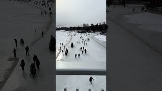 Skate the Stunning Rideau Canal in Ottawa shorts shortsvideo shortsfeed [upl. by Yrak]