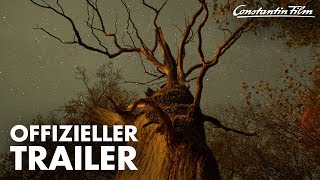 DAS GEHEIME LEBEN DER BÄUME I Offizieller Trailer [upl. by Shelbi]