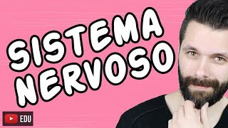 SISTEMA NERVOSO  FISIOLOGIA  Aula  Biologia com Samuel Cunha [upl. by Analos]