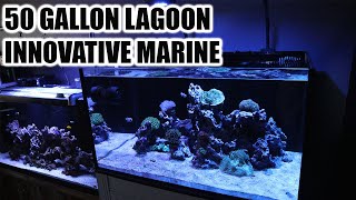 INNOVATIVE MARINE 50 GALLON LAGOON REVIEW AND OVERVIEW 2020 [upl. by Oiramaj]