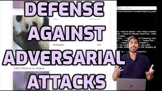 Defense Against Adversarial Attacks [upl. by Nonregla811]