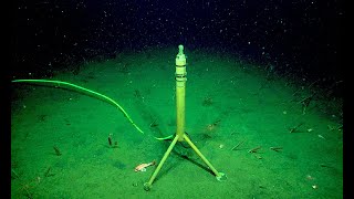 7 Eerie Sounds Recorded in the Deep Ocean [upl. by Tima]