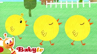 All the Chicks are Squeaking 🐥🎶  Nursery Rhymes and Songs for kids BabyTV [upl. by Dacia819]