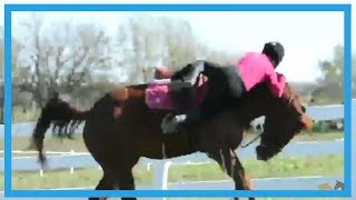 Paarden bloopers  Horse fails [upl. by Siskind]