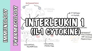 Immunology  Interleukin 1 IL1 physiology and IL1 antagonist pharmacology [upl. by Esteban198]