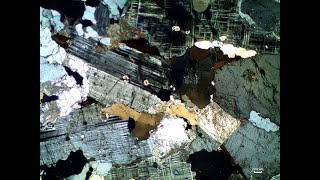 Thin section 2 [upl. by Margarida]