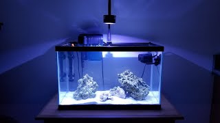 Build A 10g Nano Reef On A Budget 2020 Edition [upl. by Rhiana]