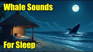 Whale Sounds amp Ocean Waves  Soothing Sleep Sounds  White Noise Sound  Peaceful Whale Song [upl. by Martino879]