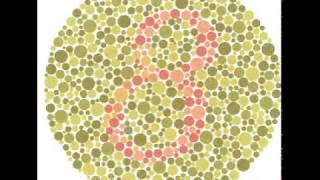 Test for Colour Blindness [upl. by Sabah]