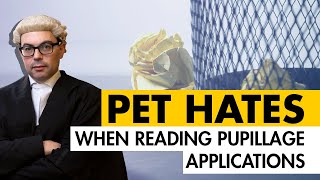 Pupillage applications Barristers PET HATES [upl. by Rellia]