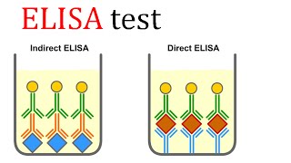 ELISA test [upl. by Yellac]