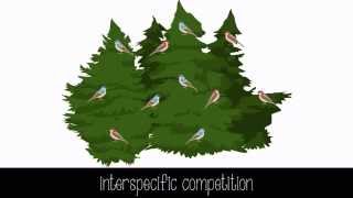 Species Interactions [upl. by Asta]