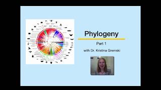 Phylogeny Part 1 [upl. by Betta]