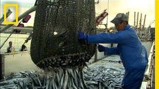 How More Efficient Fishing Can Protect the Ocean  National Geographic [upl. by Bruns748]