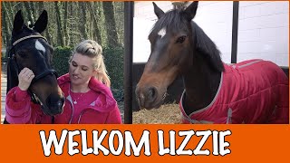 Een nieuwe pony in de PAARDENPRAATfamilie  PaardenpraatTV [upl. by Breed]