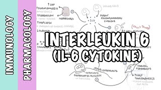 Immunology  Interleukin 6 IL6 physiology and IL6 antagonist pharmacology Tocilizumab [upl. by Eindys]