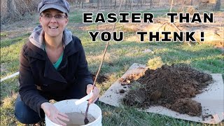 Easiest Way to Plant Bare Root Trees [upl. by Alfonso]