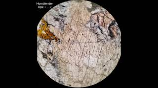 Hornblende tutorial Optical mineralogy [upl. by Elohcan]