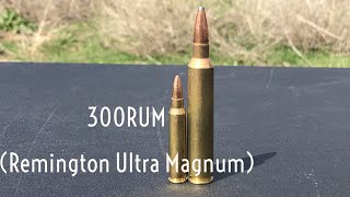 300 RUM Remington Ultra Magnum [upl. by Omarr]