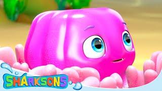 Jelly Jellyfish Song  Videos for Kids  Nursery Rhymes amp Kids Songs  The Sharksons [upl. by Gottuard]