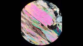 Biotite tutorial Optical mineralogy [upl. by Notyard763]