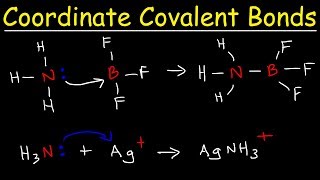 What is a Coordinate Covalent Bond [upl. by Cunningham]