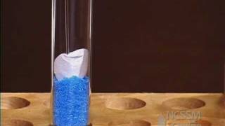 Copper Sulfate and Iron Nail Lab Part 1 [upl. by Assenaj855]