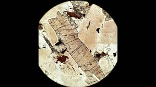 Orthopyroxene tutorial Optical mineralogy [upl. by Dorisa]