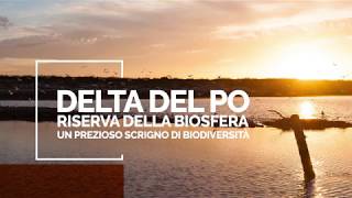 Delta del Po Riserva della Biosfera [upl. by Eessej46]