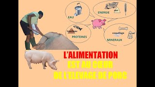 comment composé laliment pour vos porc comment fabriquer laliment des porcs [upl. by Sehcaep]