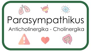 Parasympathikus – Pharmakologie Anticholinergika Atropin Scopolamin  Cholinergika Neostigmin [upl. by Bertero]