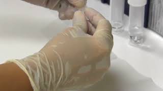 Preparing a cytology smear [upl. by Auqcinahs]