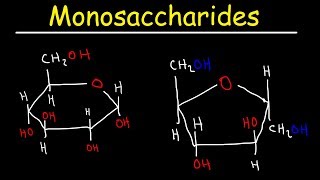 Monosaccharides  Glucose Fructose Galactose amp Ribose  Carbohydrates [upl. by Enelehs]