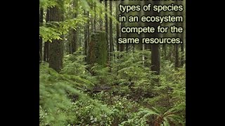 Interspecific Competition Definition and Examples [upl. by Elysia246]